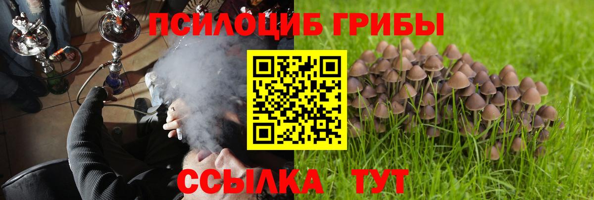 Галлюциногенные грибы мицелий  Вход с VPN  Самара  Псилоцибиновые грибы мухоморы 