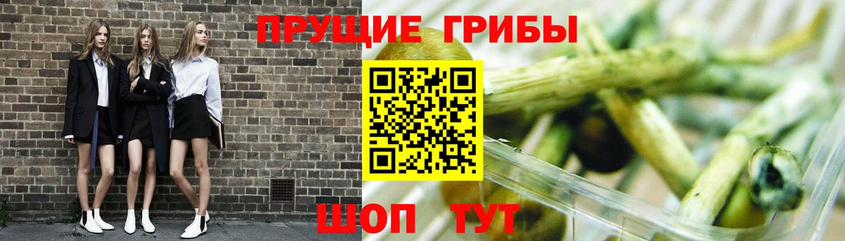 Псилоцибиновые грибы прущие грибы Самара