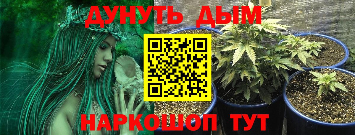 Бошки Шишки план  Вход с VPN  Шишки марихуана Amnesia  Самара 